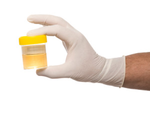 DOT Drug Testing - Concentra